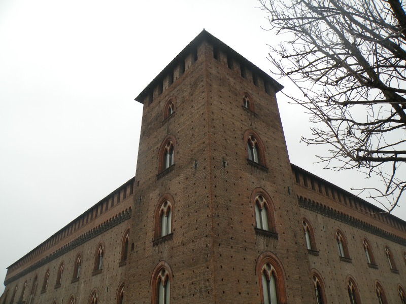 Parrocchetti dal collare a Pavia